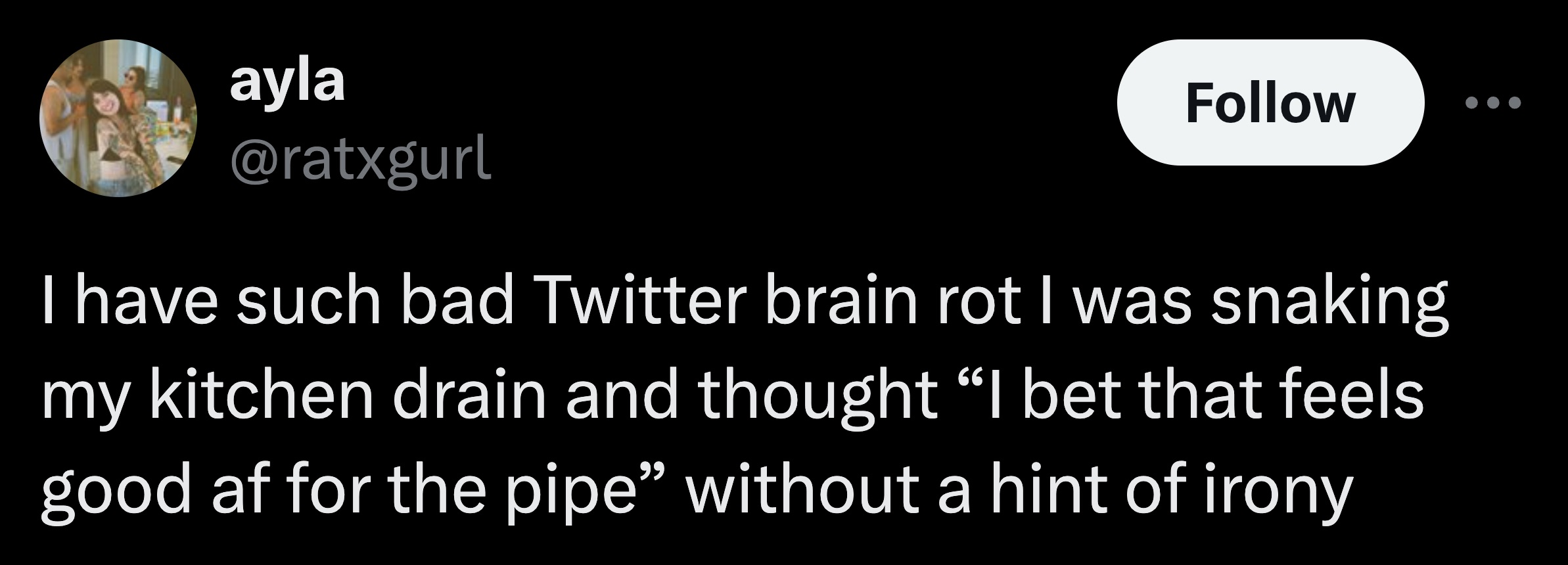 parallel - ayla I have such bad Twitter brain rot I was snaking 66 my kitchen drain and thought "I bet that feels good af for the pipe" without a hint of irony